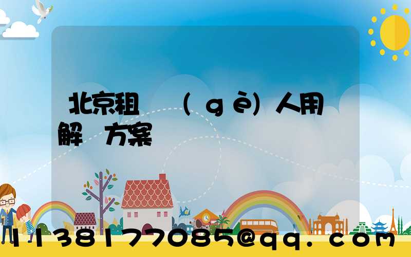 北京租車個(gè)人用車解決方案