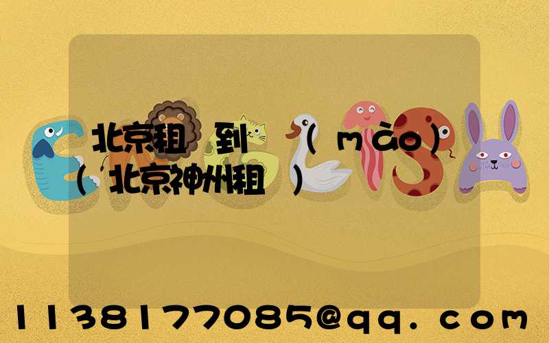 北京租車到國貿(mào)(北京神州租車)