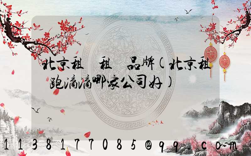 北京租車租車品牌(北京租車跑滴滴哪家公司好)