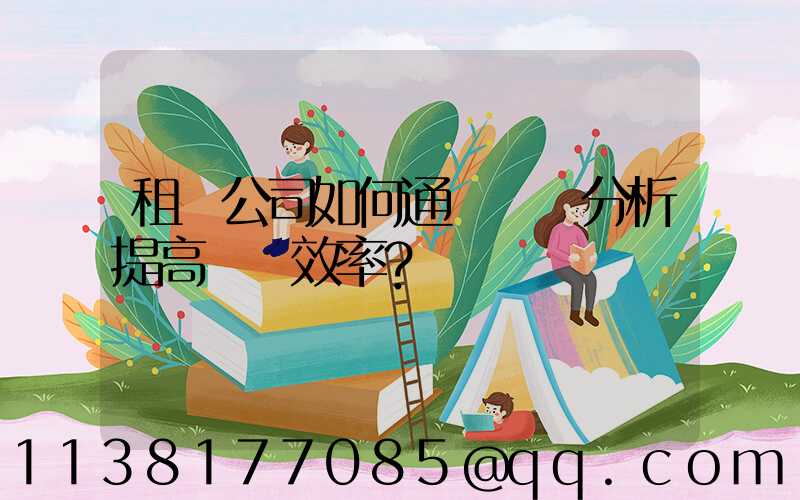 租車公司如何通過數據分析提高運營效率？