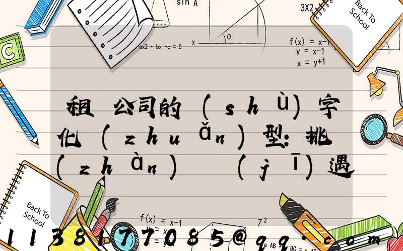 租車公司的數(shù)字化轉(zhuǎn)型：挑戰(zhàn)與機(jī)遇